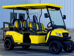 cape coral golf cart rental, golf cart rentals 